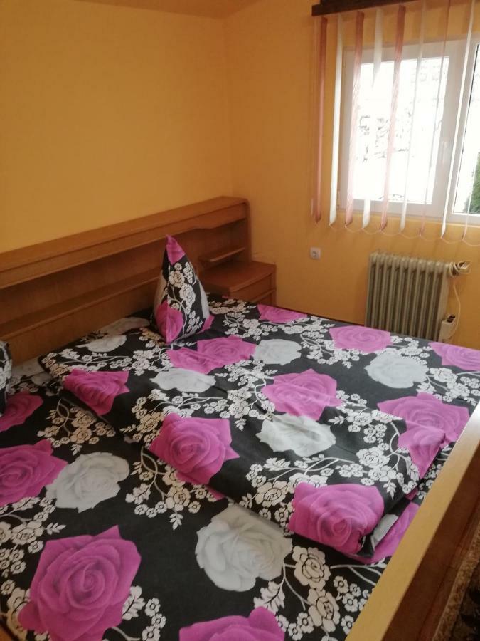 Pension, Camping & Biker Station Zur Deutschen Eiche Ciocanesti Екстериор снимка